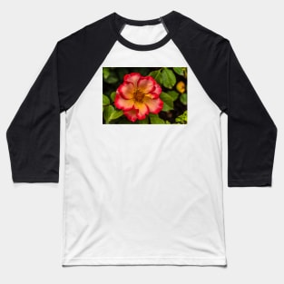 Wild Rose Sunrise Baseball T-Shirt